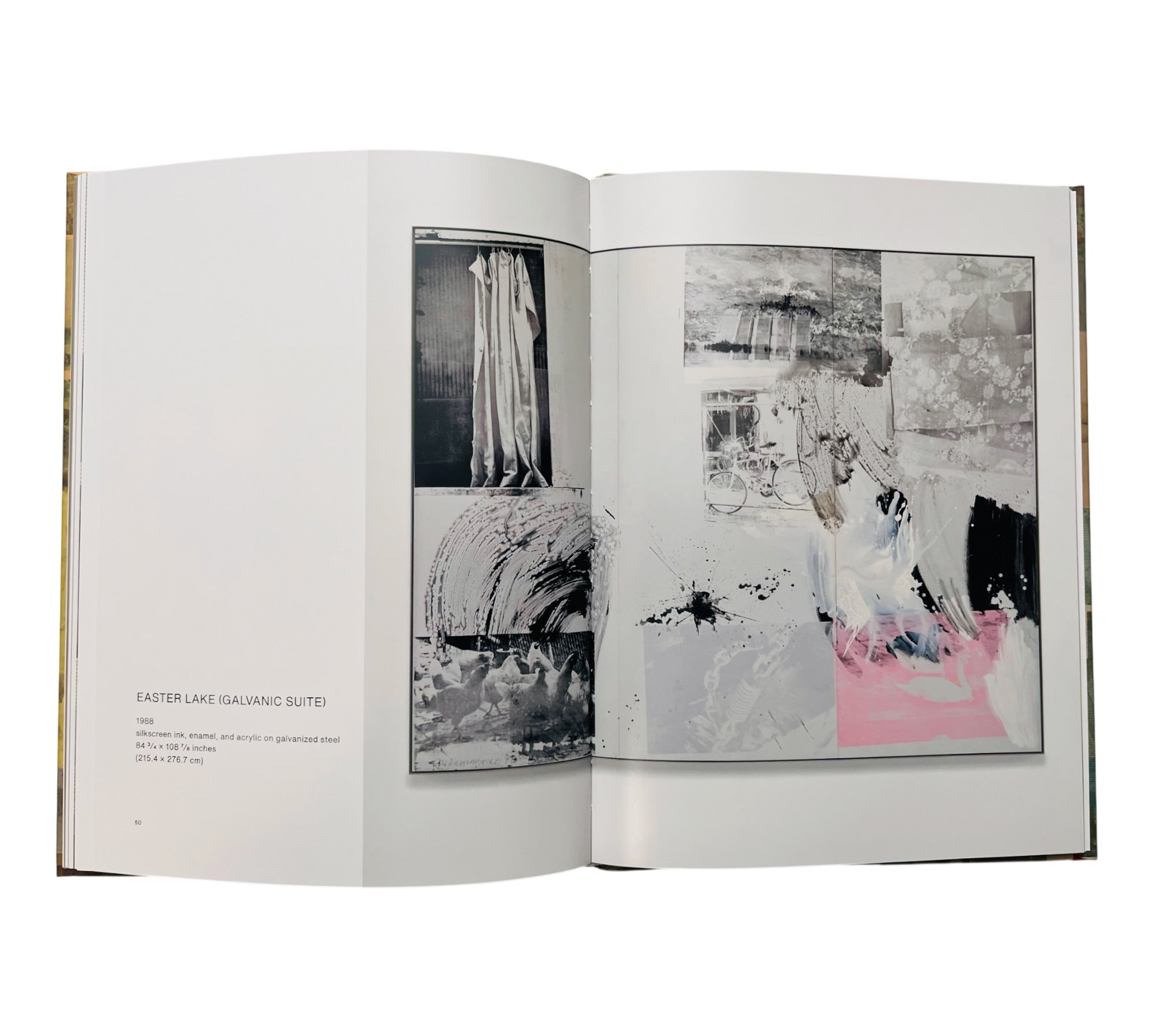 Robert Rauschenberg: Exceptional Works (1971-1999) (Rare edition)