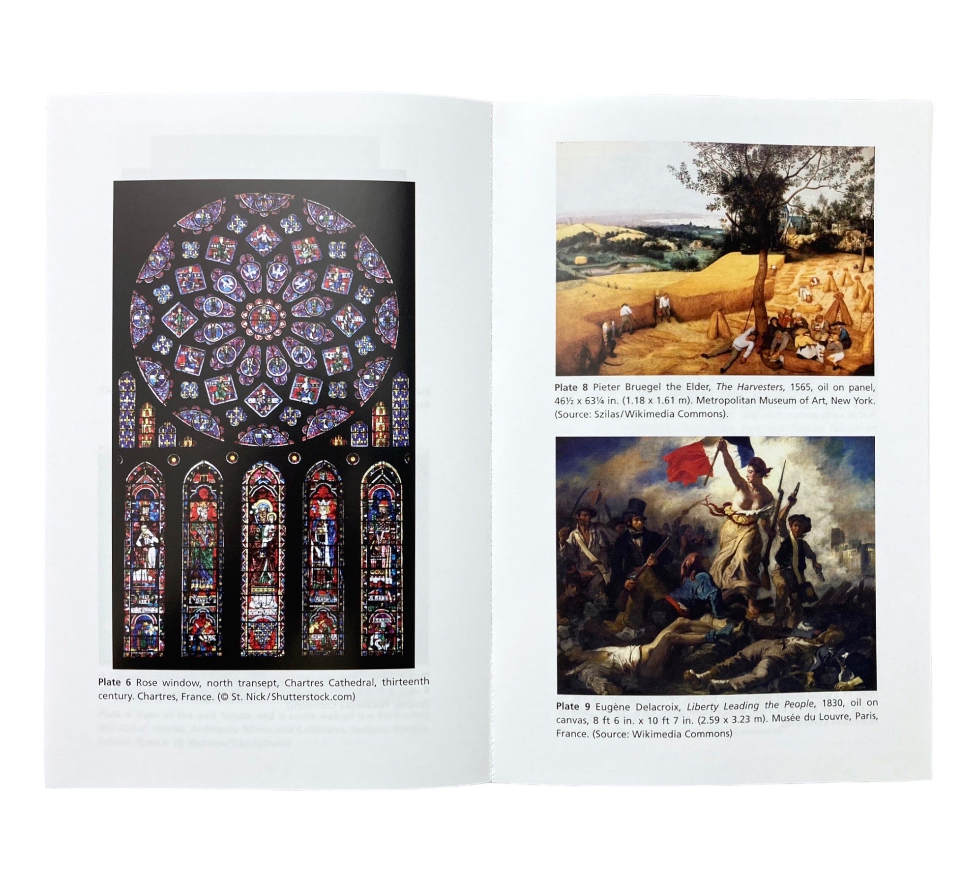 Art: A Beginner's Guide