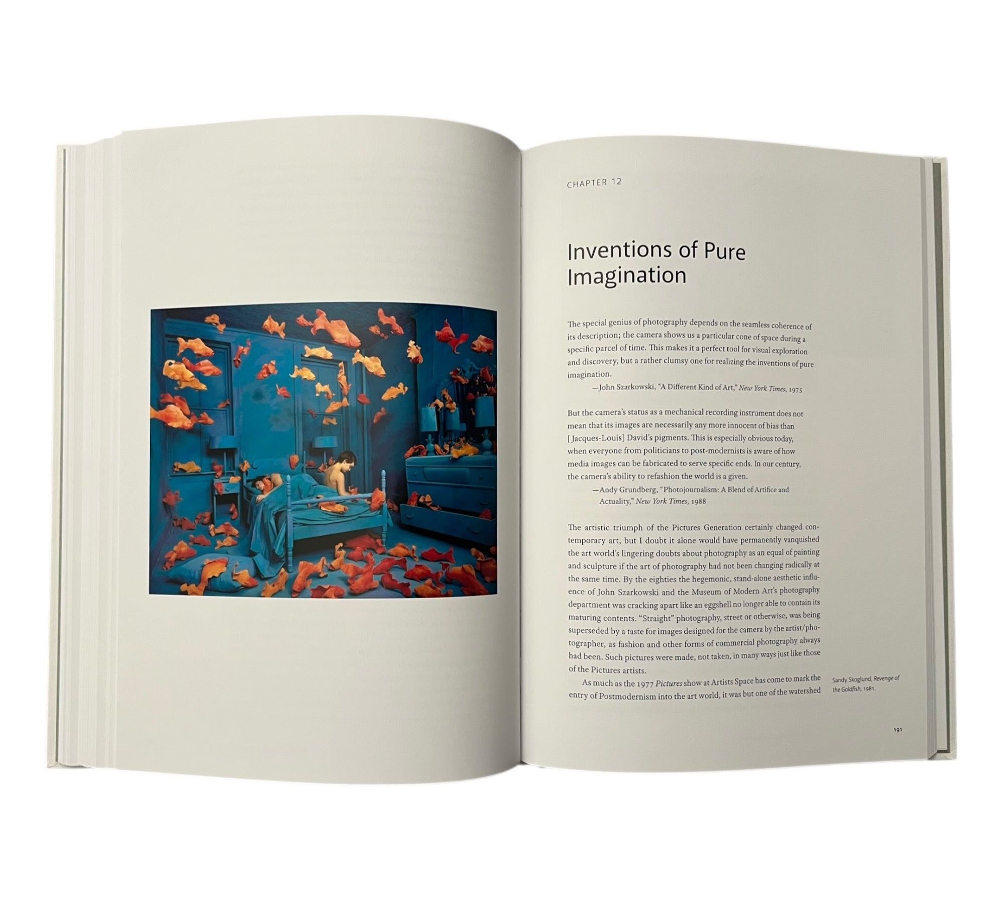 How Photography Became Contemporary Art: Inside an Artistic Revolution from Pop to the Digital Age