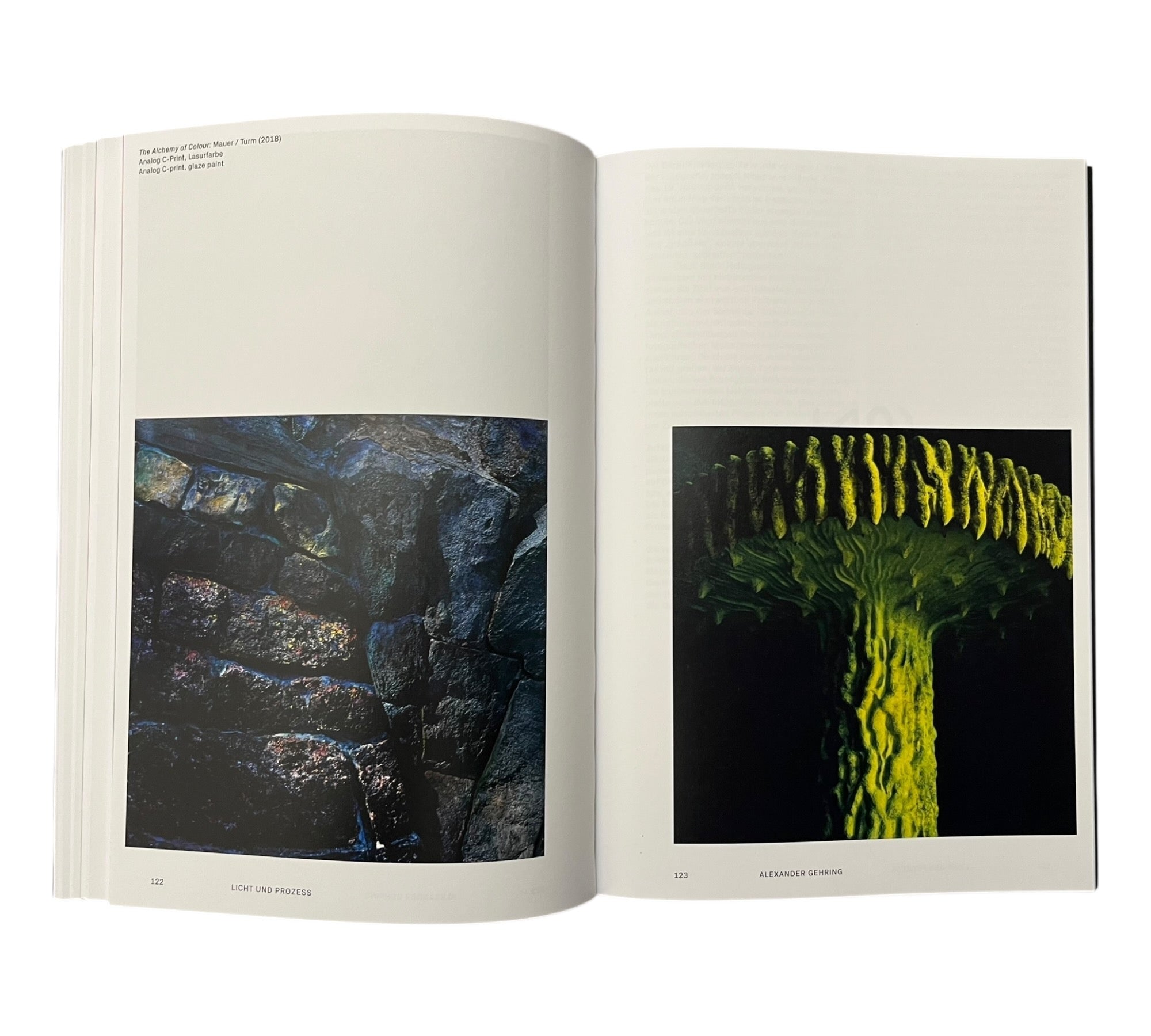 Analog Total: Photography Today