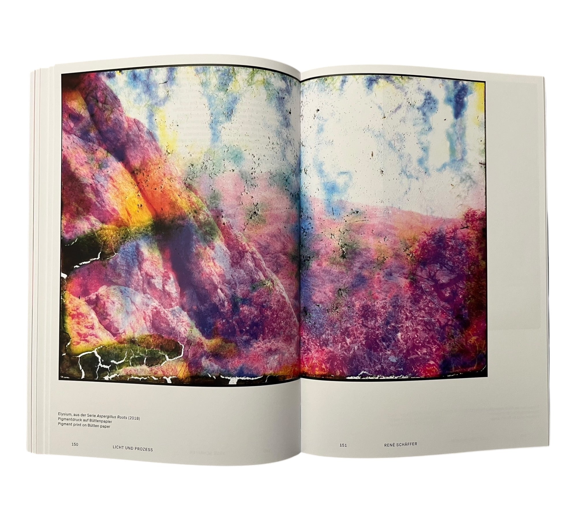 Analog Total: Photography Today