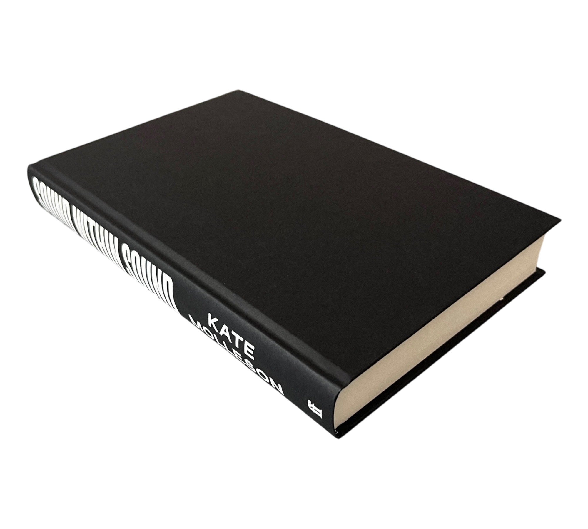Sound Within Sound: A History of Radical Twentieth Century Composers