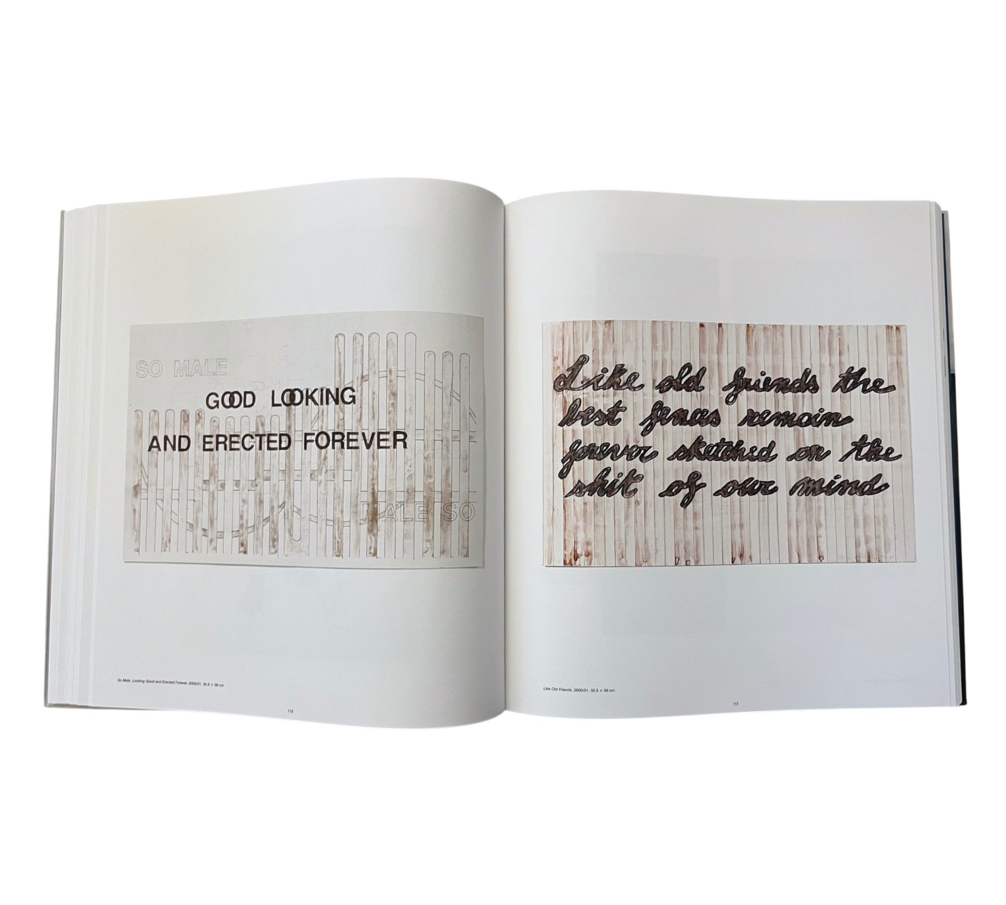 Monica Bonvicini: Disegni/Drawings