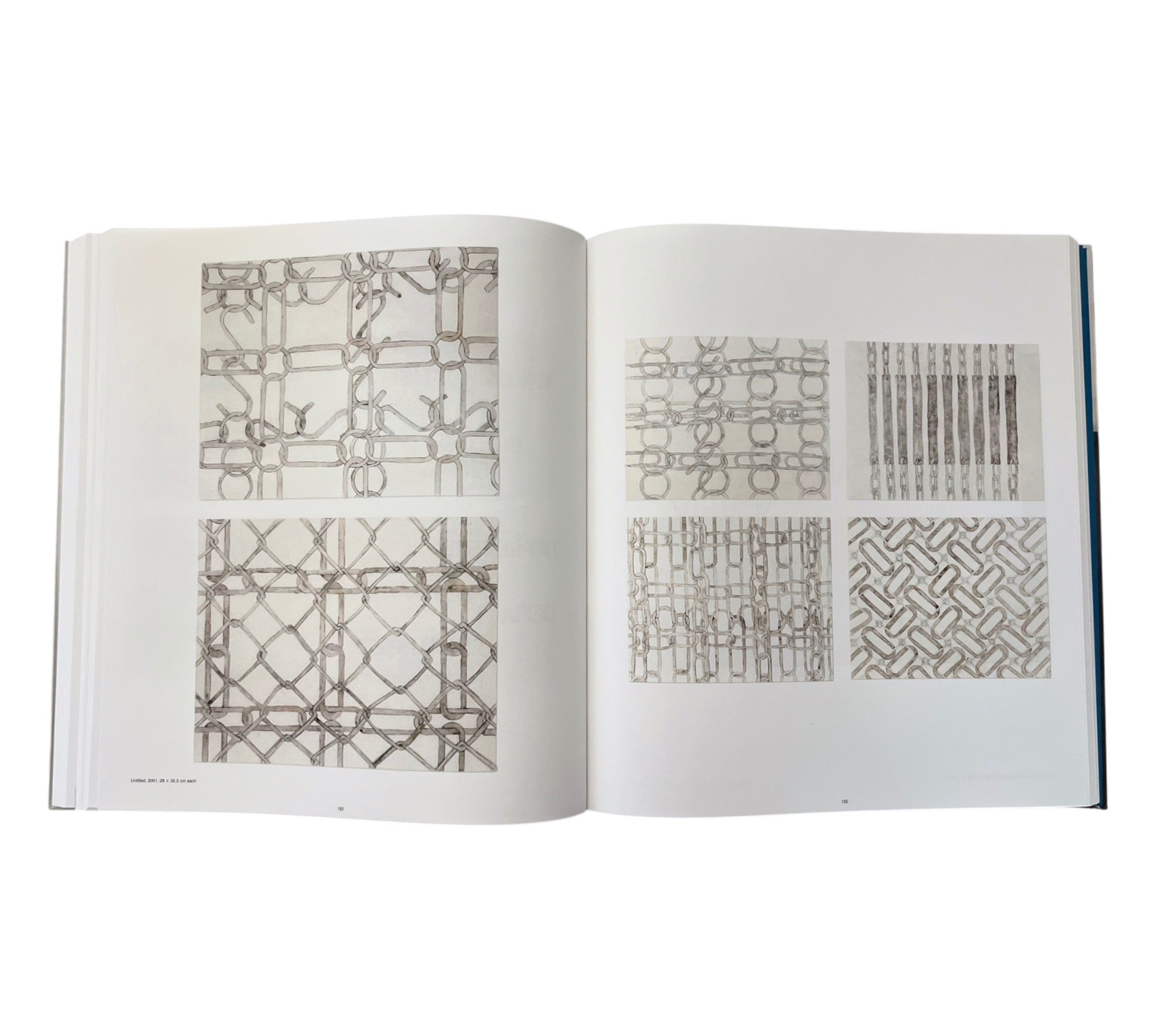 Monica Bonvicini: Disegni/Drawings