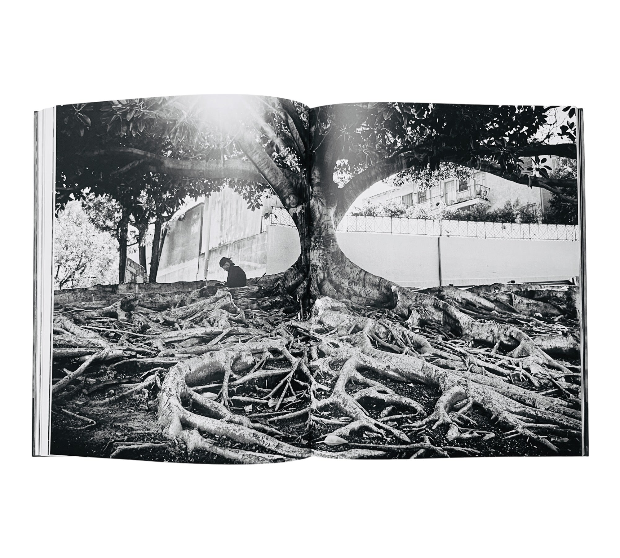 Michael Dressel: Lost Angeles (Rare edition)