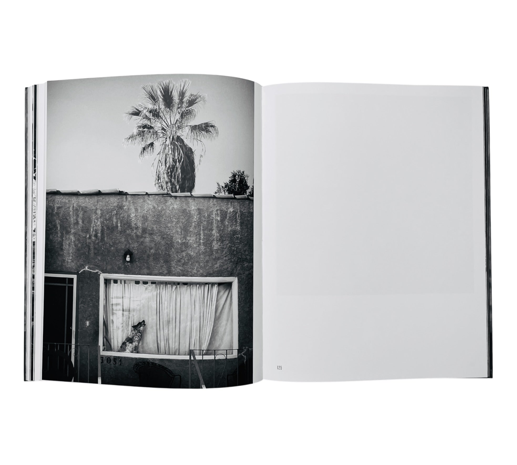 Michael Dressel: Lost Angeles (Rare edition)