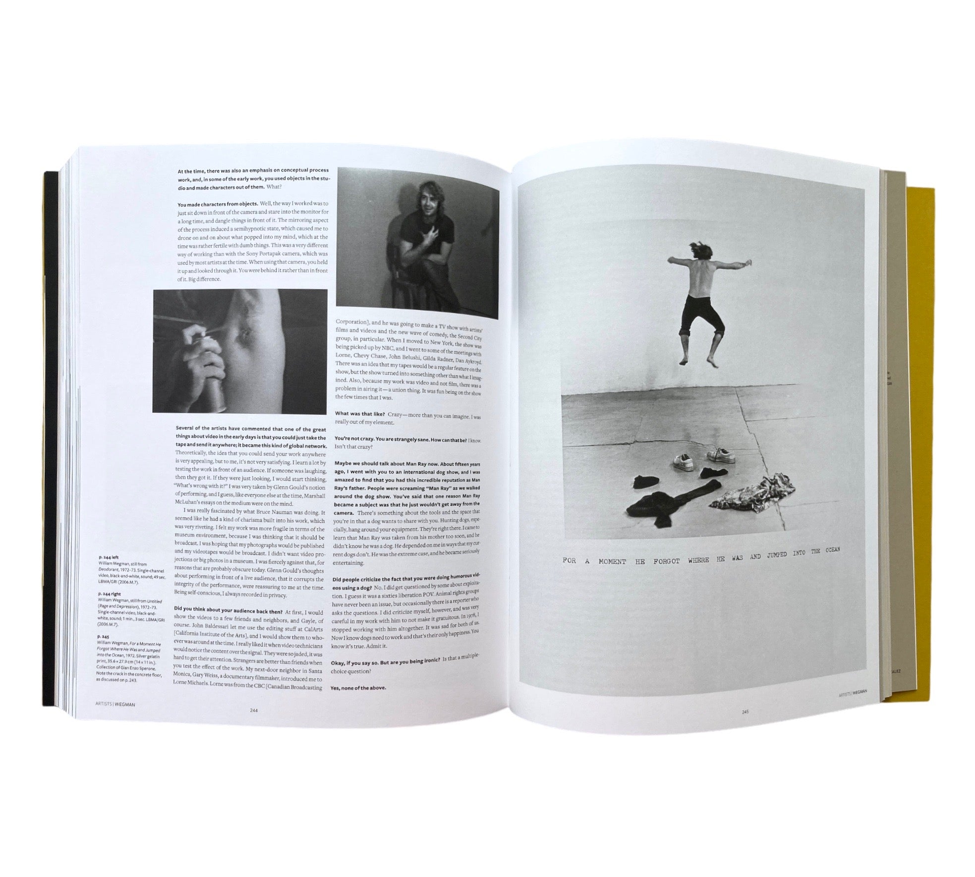 California Video: Artists and Histories