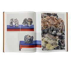 AfterGlow: New Nordic Porcelain