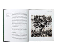 Constable's White Horse: William Kentridge & Amiee Ng