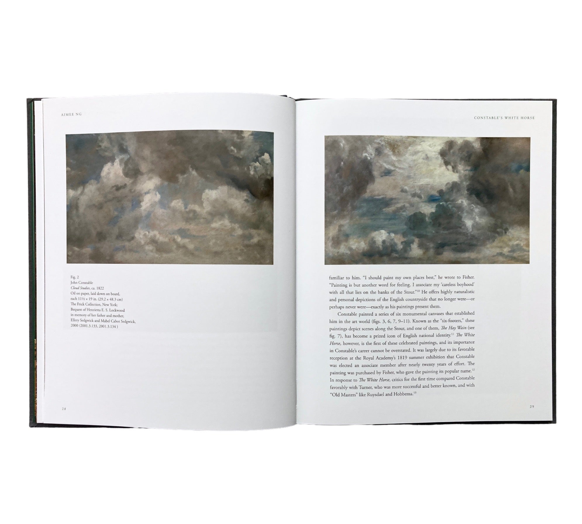 Constable's White Horse: William Kentridge & Amiee Ng