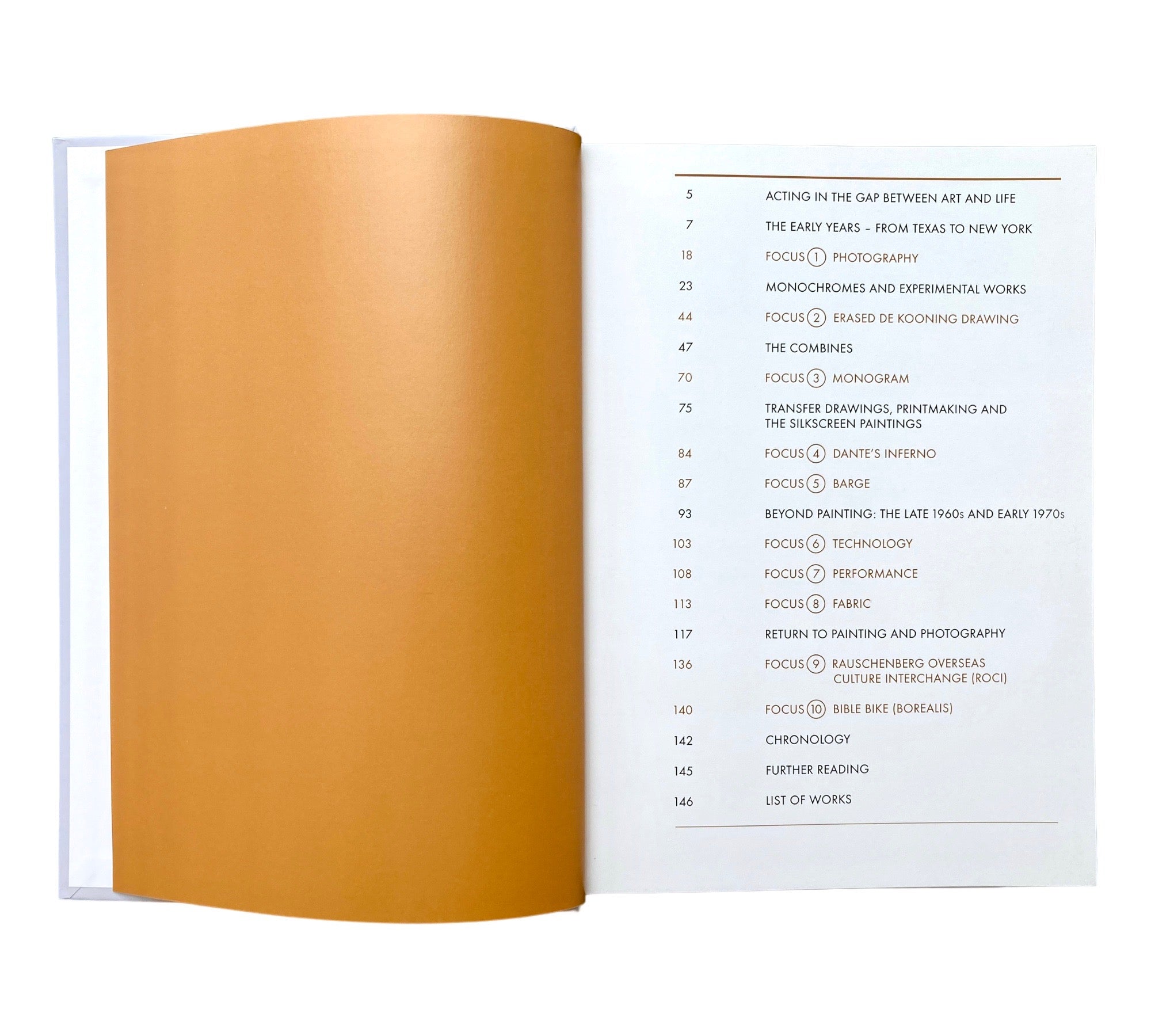 Robert Rauschenberg (Phaidon Focus)