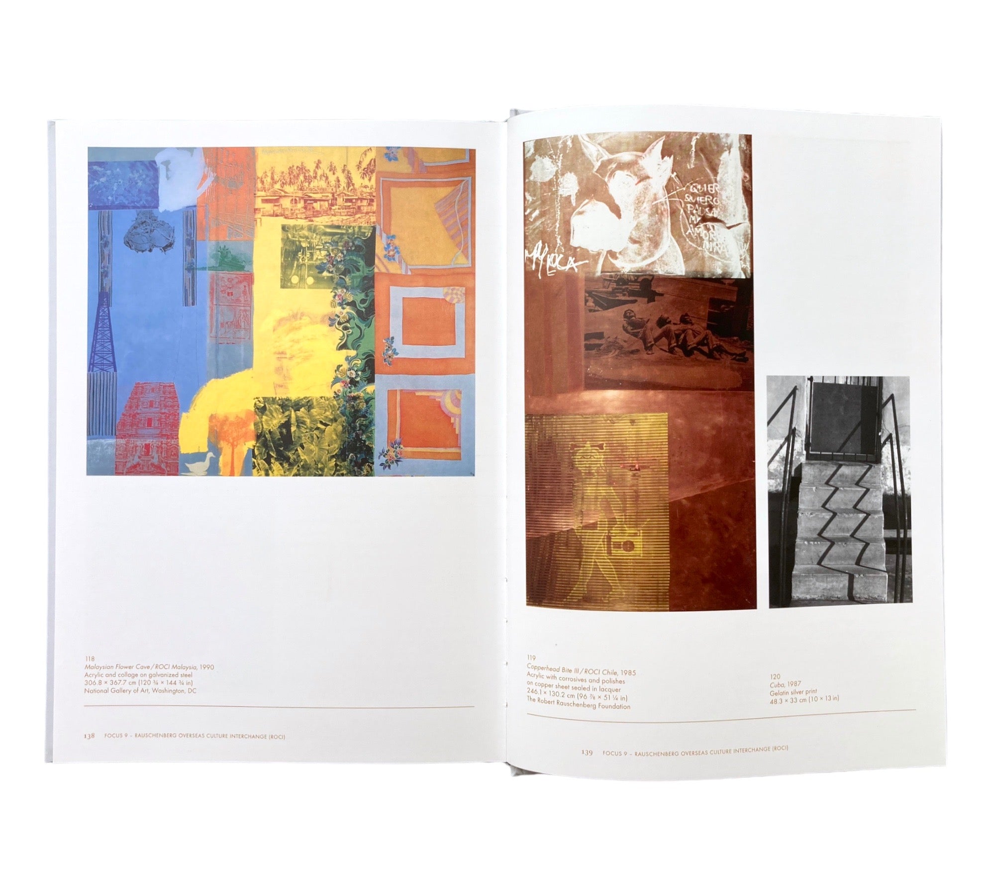 Robert Rauschenberg (Phaidon Focus)