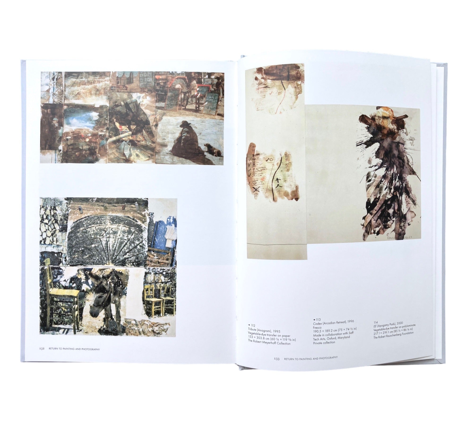 Robert Rauschenberg (Phaidon Focus)