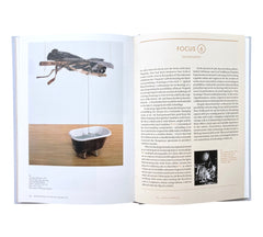 Robert Rauschenberg (Phaidon Focus)