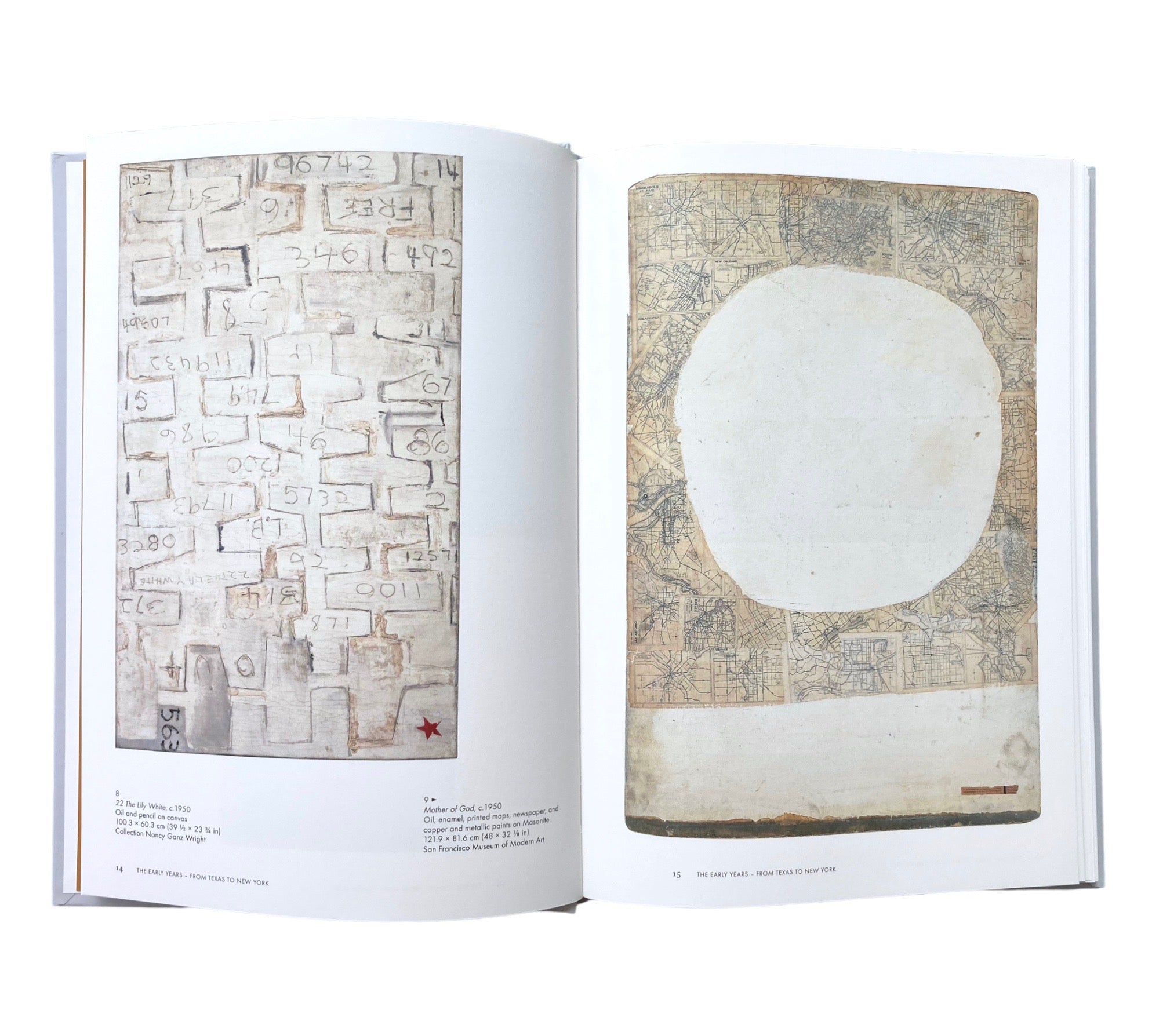 Robert Rauschenberg (Phaidon Focus)