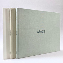 Donovan Wylie: MAZE
