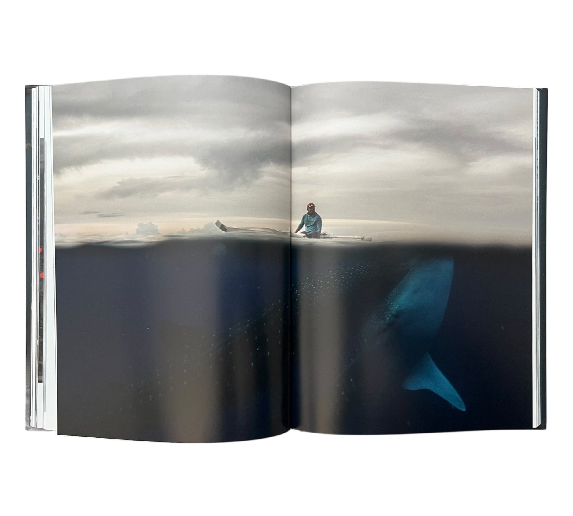 What We See: Women and nonbinary perspectives through the lens