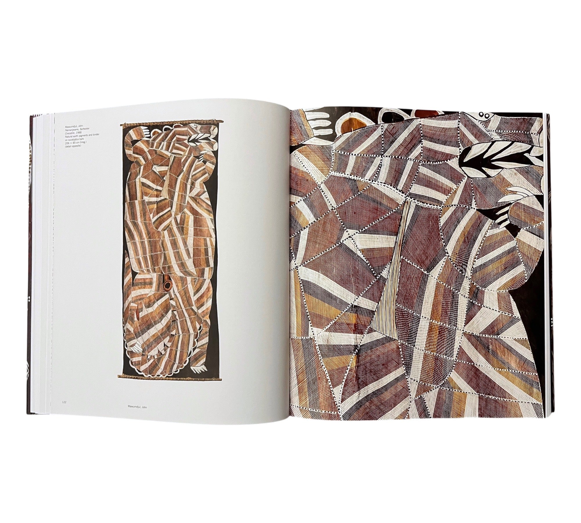 Dreaming the Land: Aboriginal Art from Remote Australia