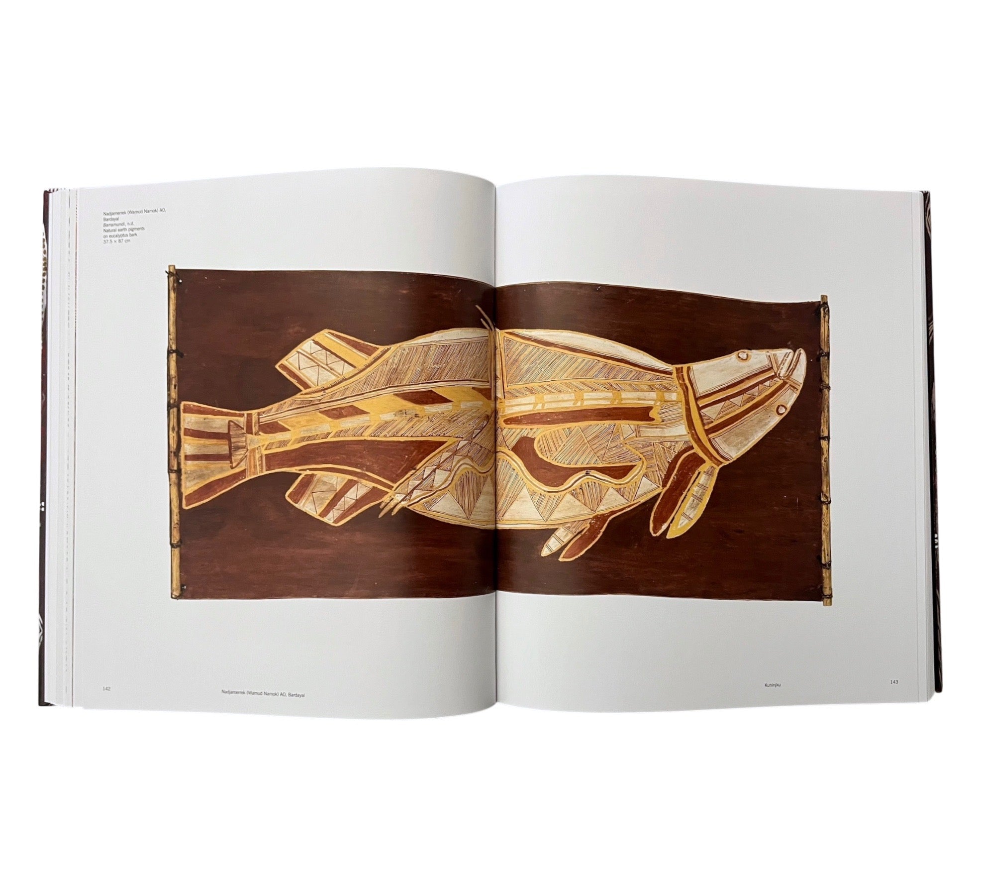 Dreaming the Land: Aboriginal Art from Remote Australia