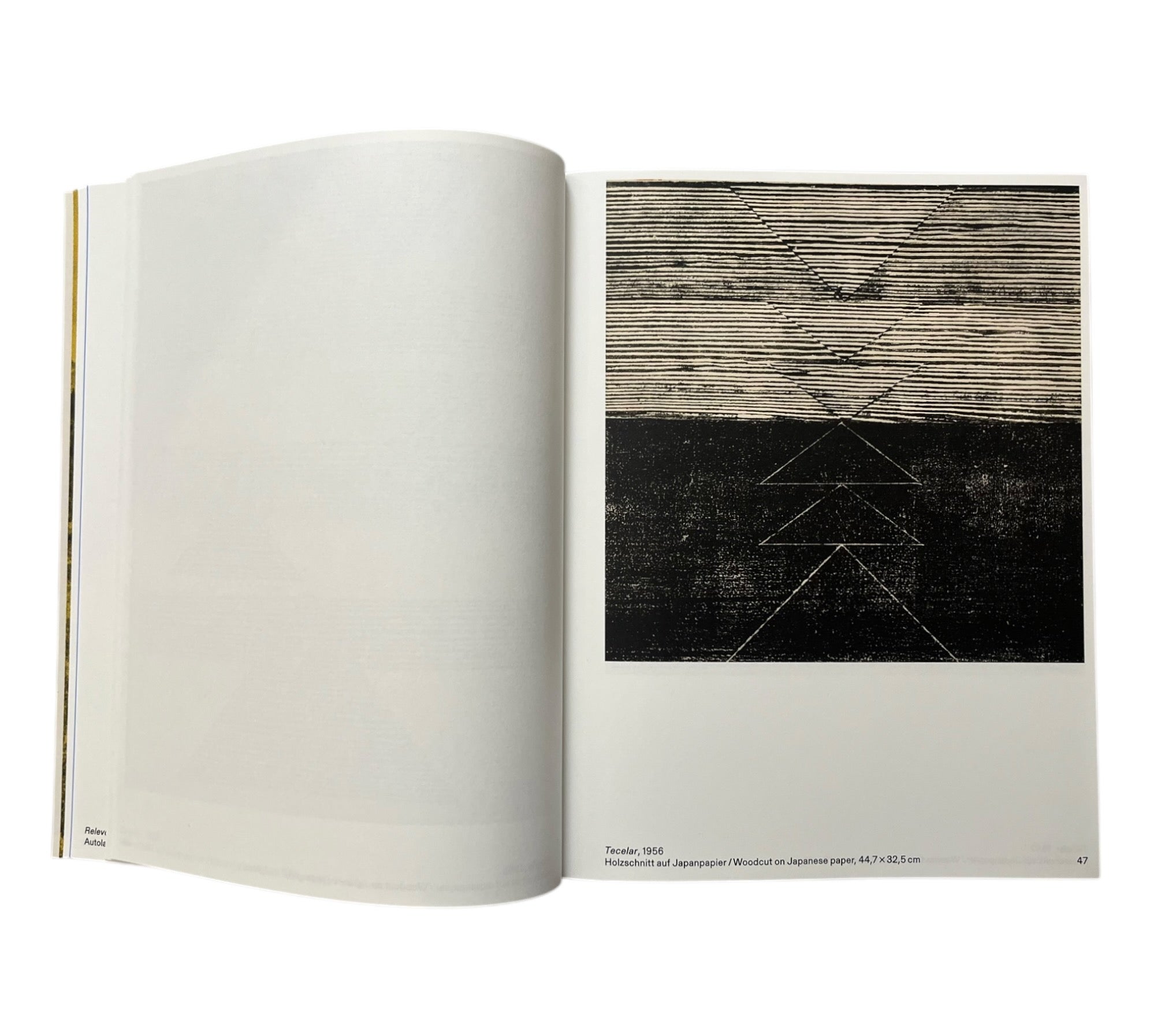 Lygia Pape: The Skin of ALL