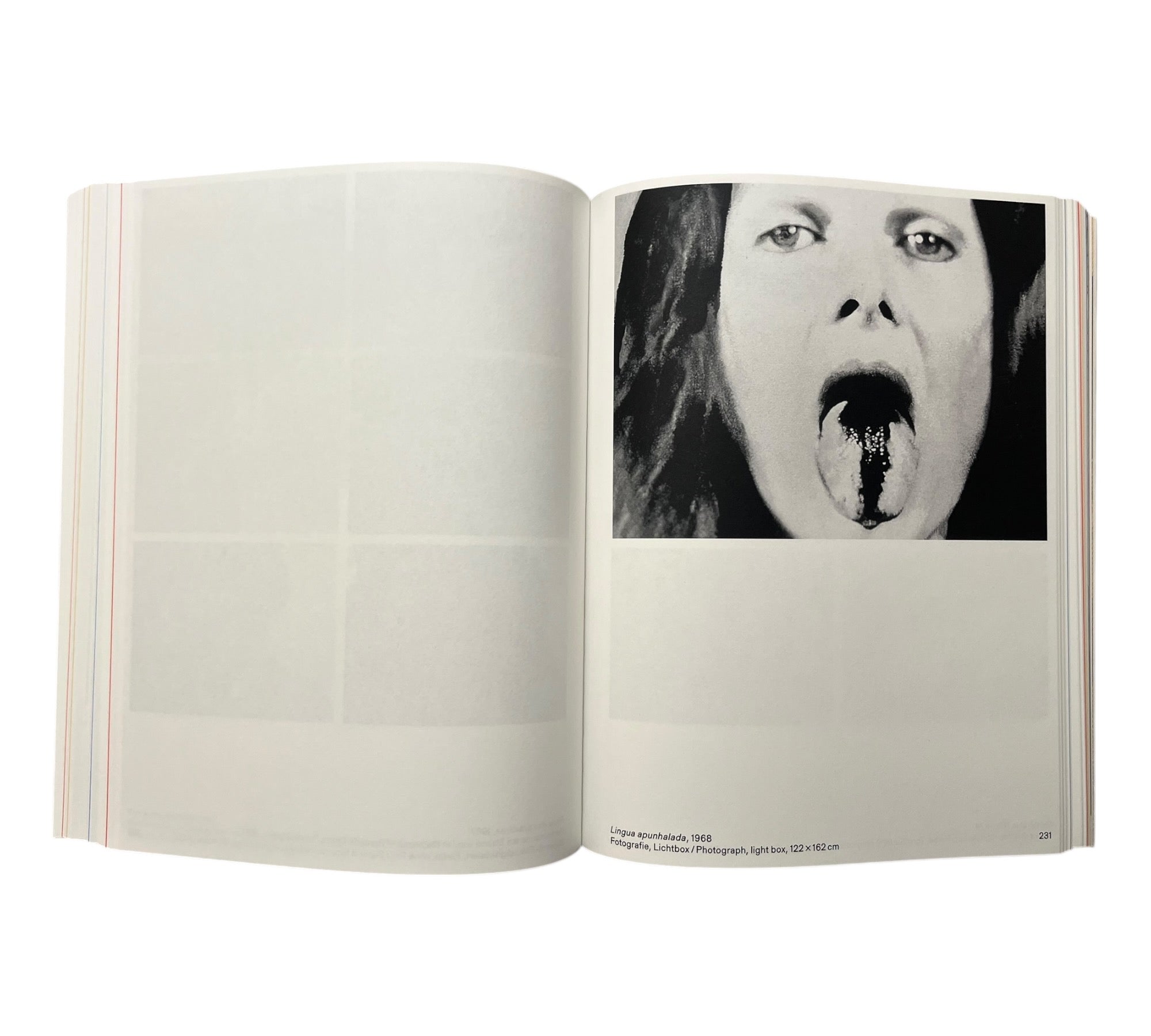 Lygia Pape: The Skin of ALL