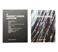 A Robert Gober Lexicon