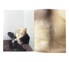 A Robert Gober Lexicon