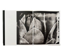 Lisen Stibeck: Undertow