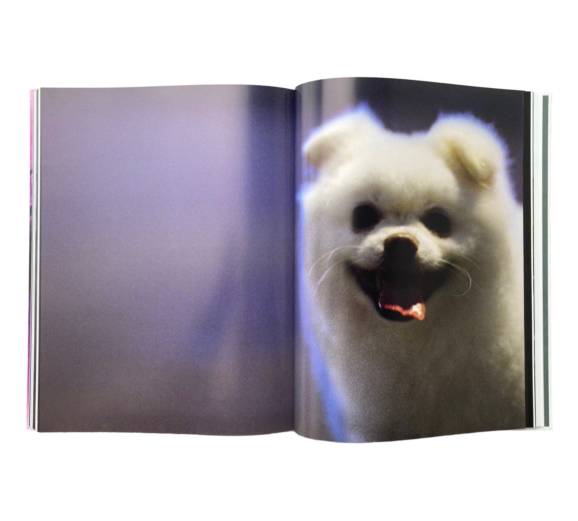 Sarah Morris: Beijing