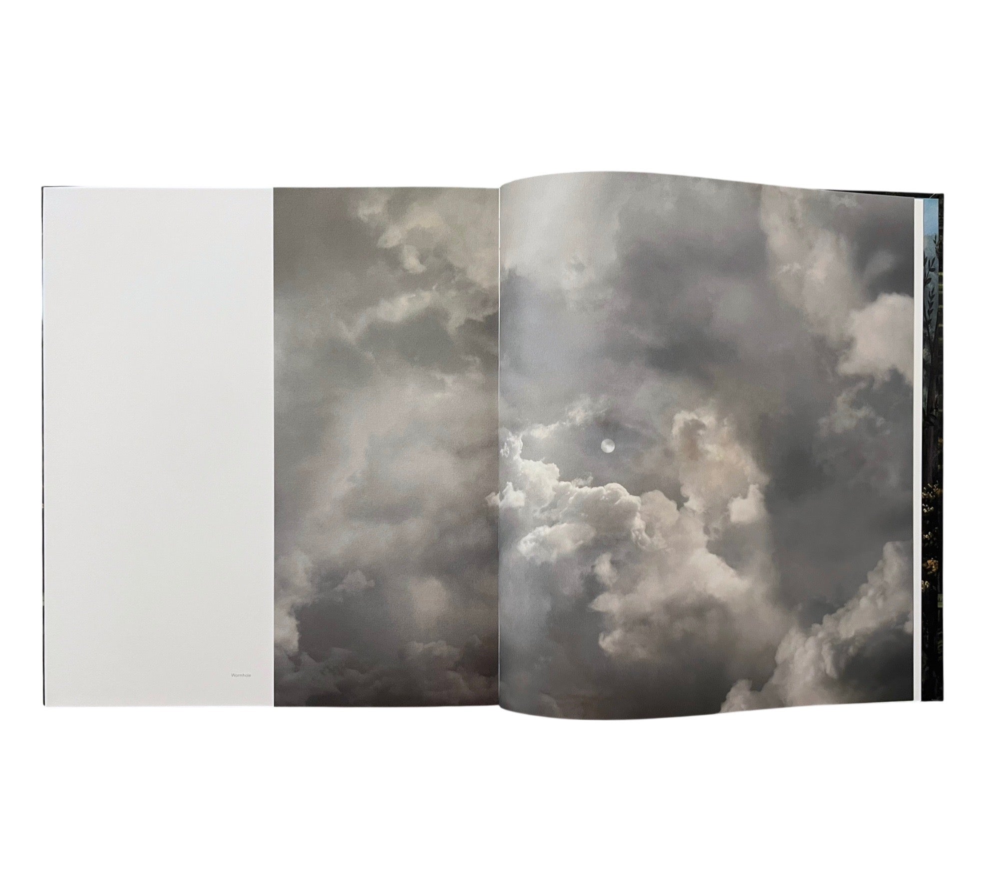 Lovisa Ringborg: Phantom Limbs