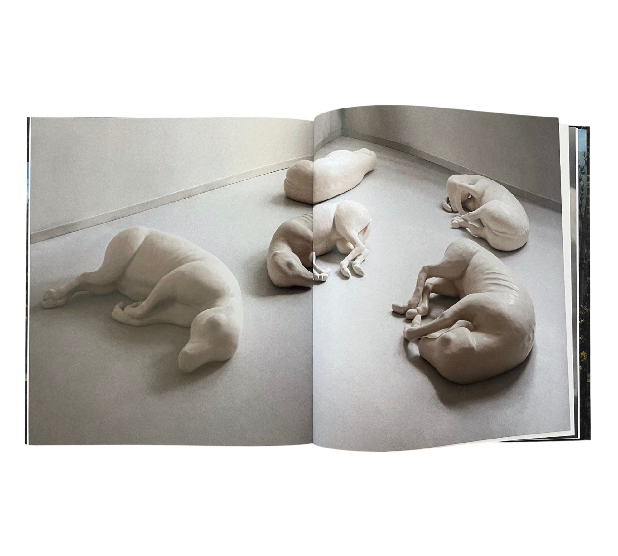 Lovisa Ringborg: Phantom Limbs