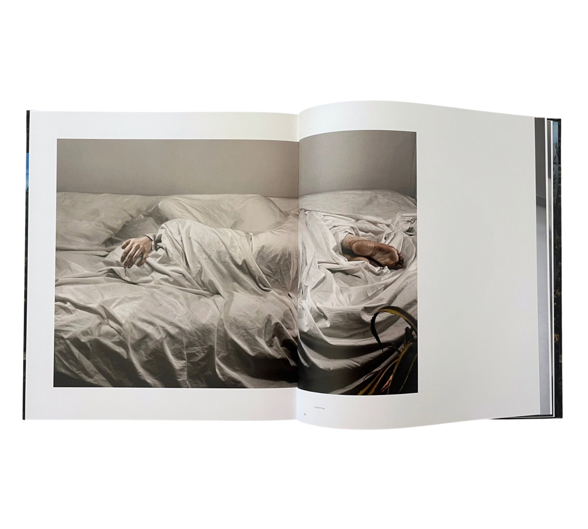 Lovisa Ringborg: Phantom Limbs