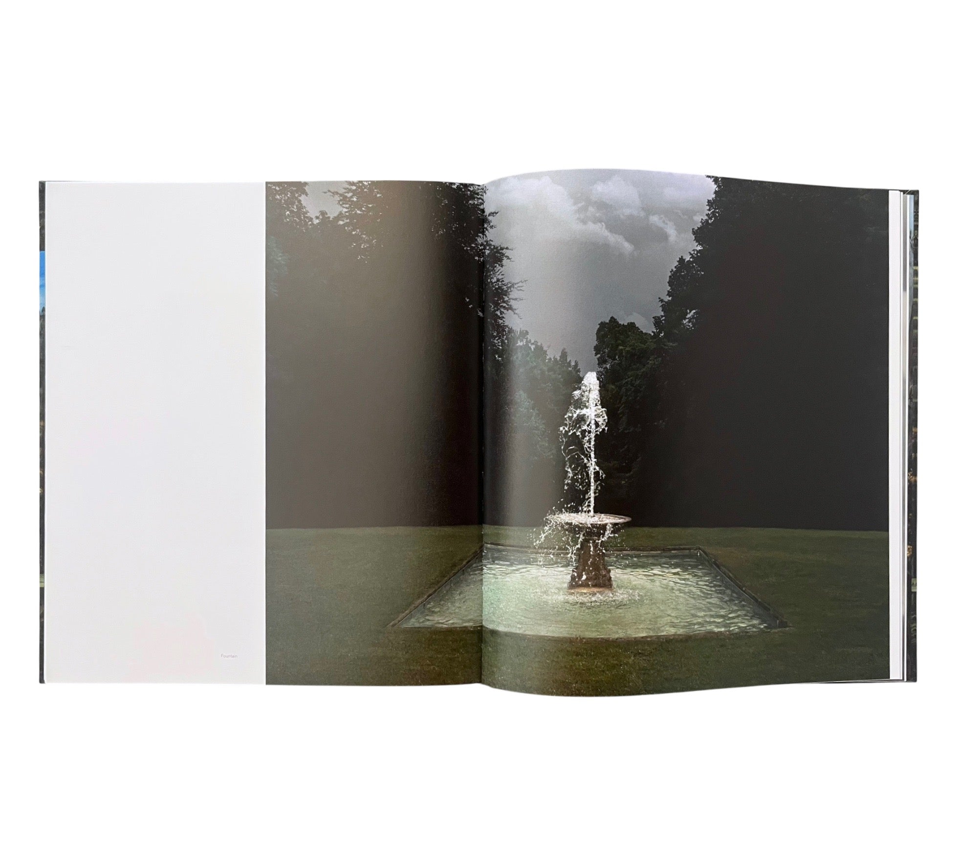 Lovisa Ringborg: Phantom Limbs