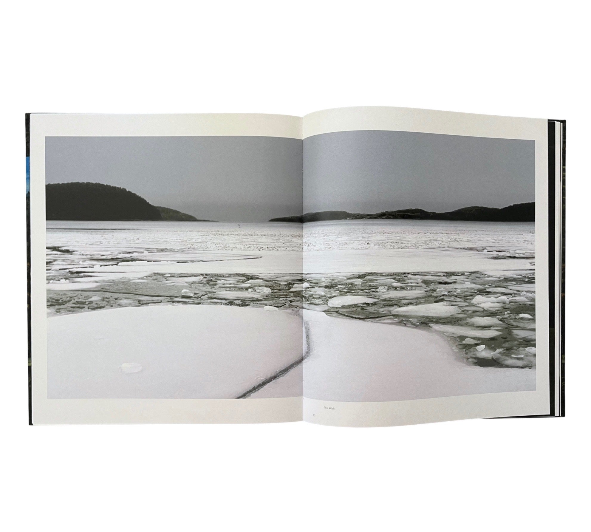 Lovisa Ringborg: Phantom Limbs