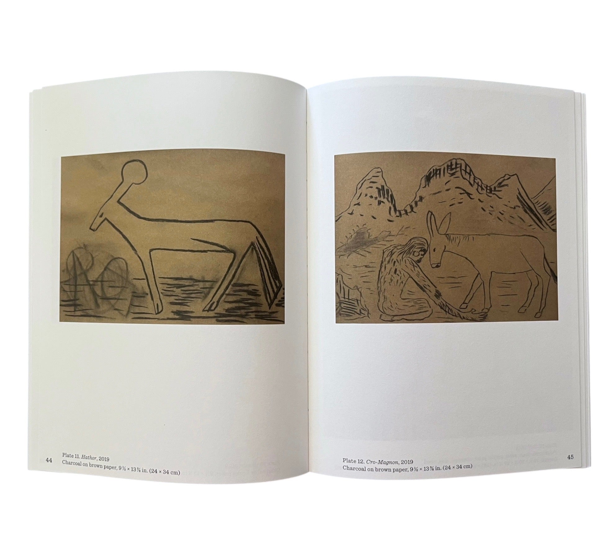 Lin May Saeed: Arrival of the Animals
