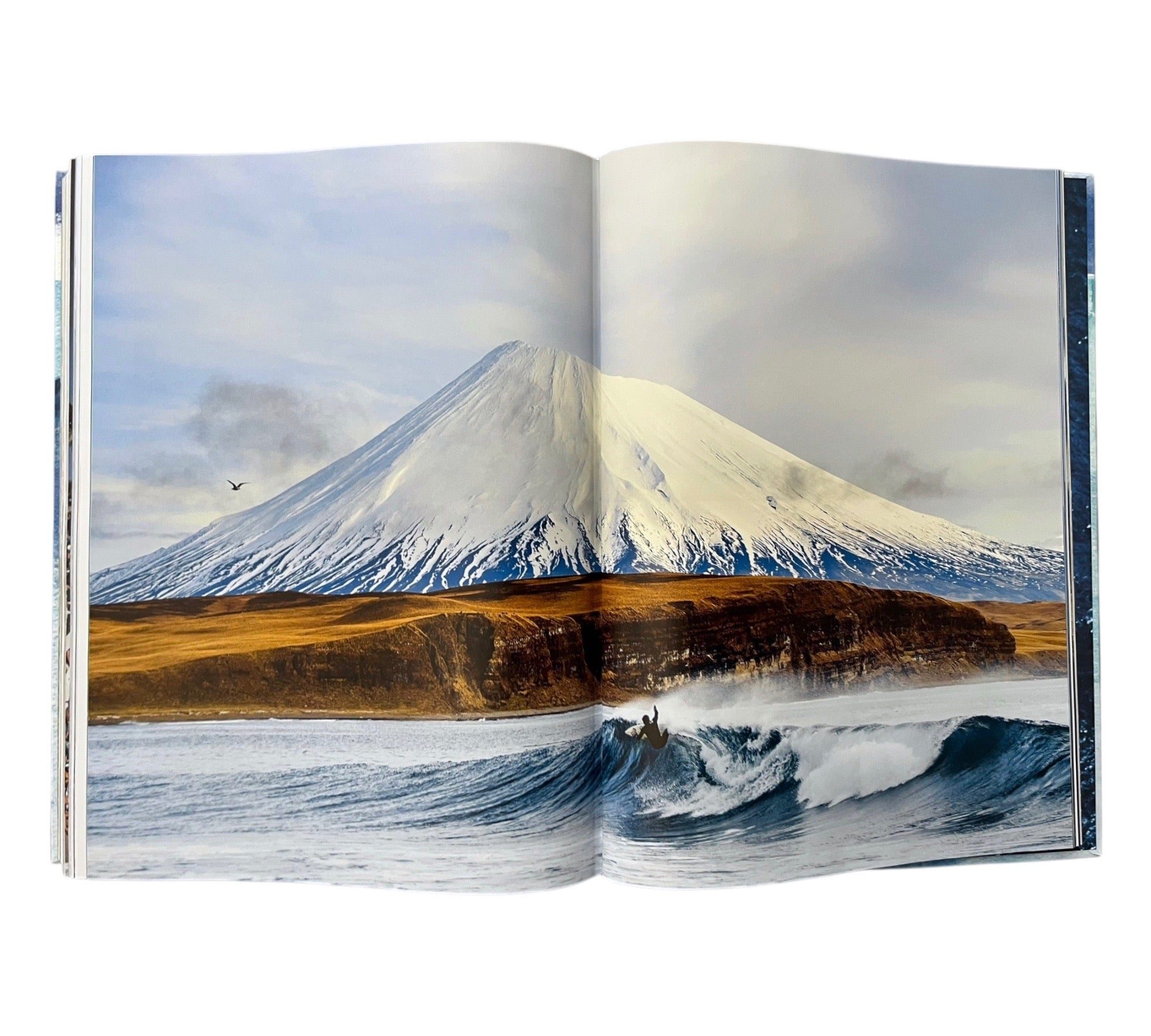 Surfing. 1778–Today (XL Edition)