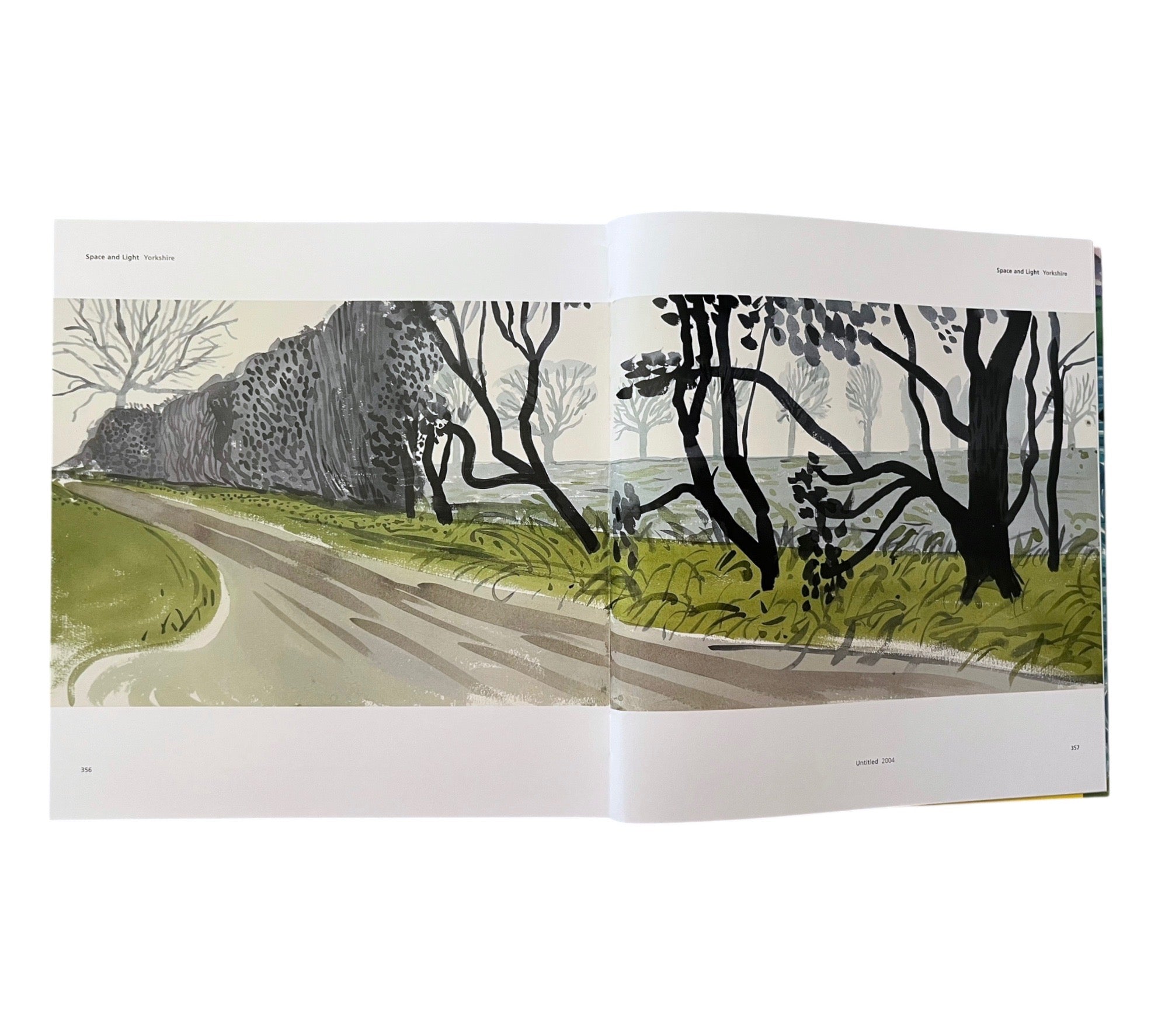 Hockney's Pictures
