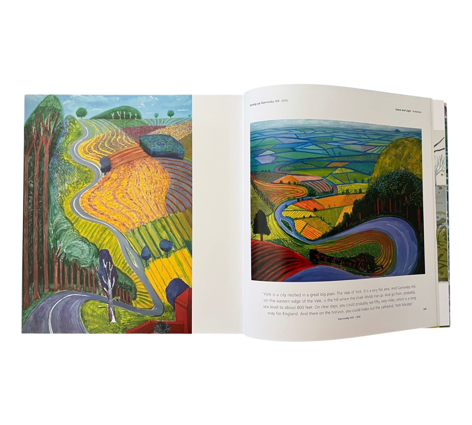 Hockney's Pictures