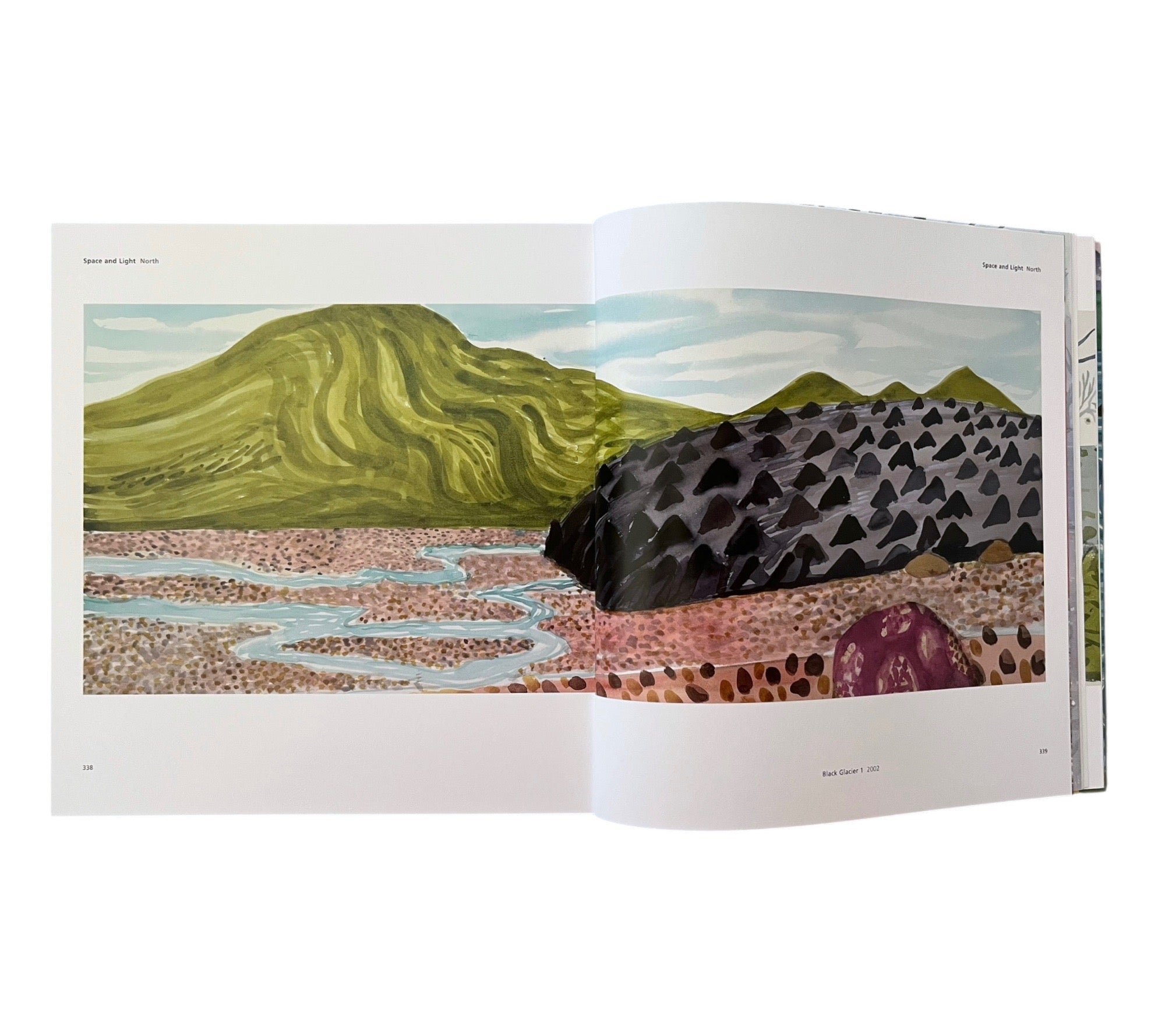 Hockney's Pictures