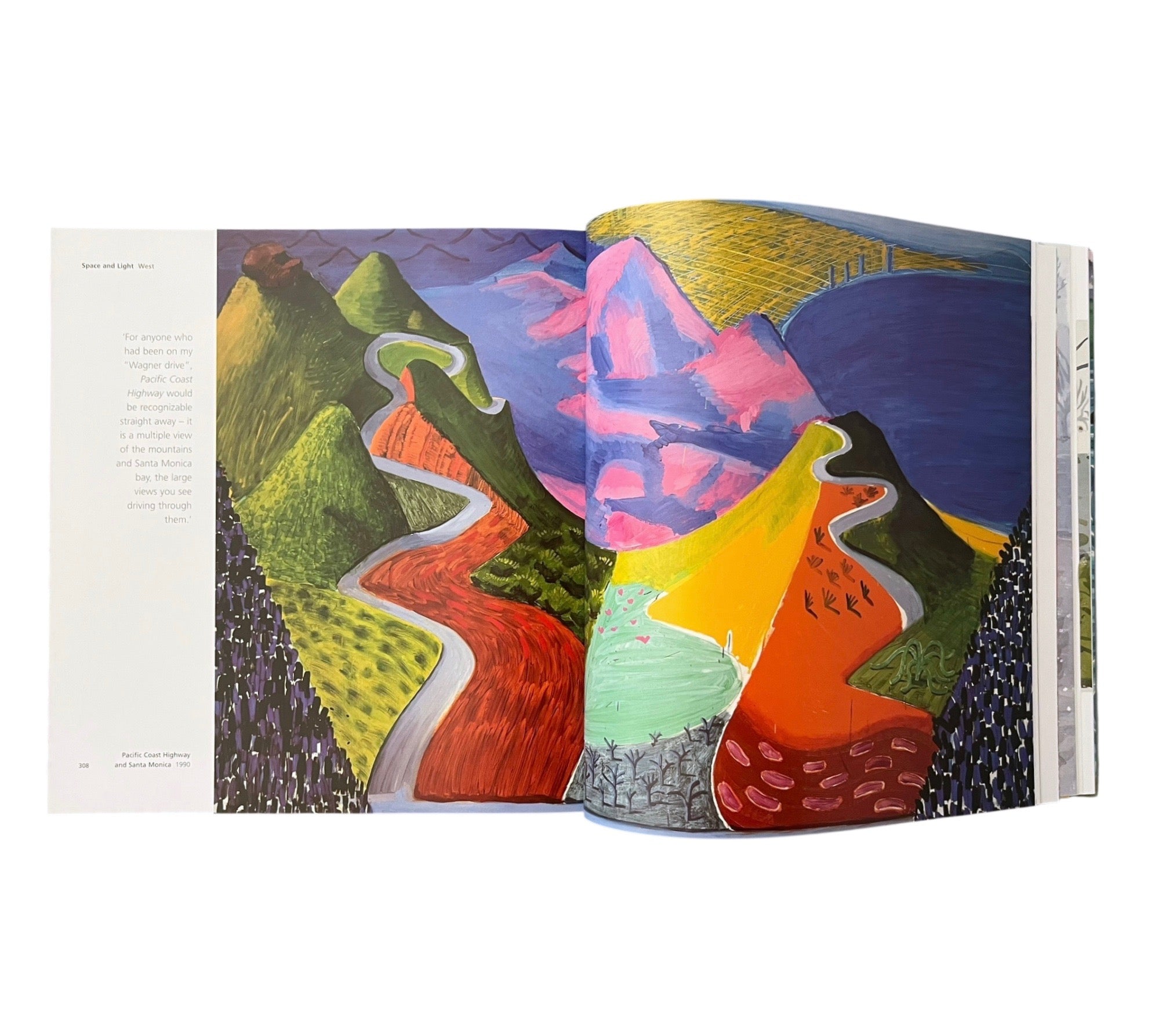 Hockney's Pictures