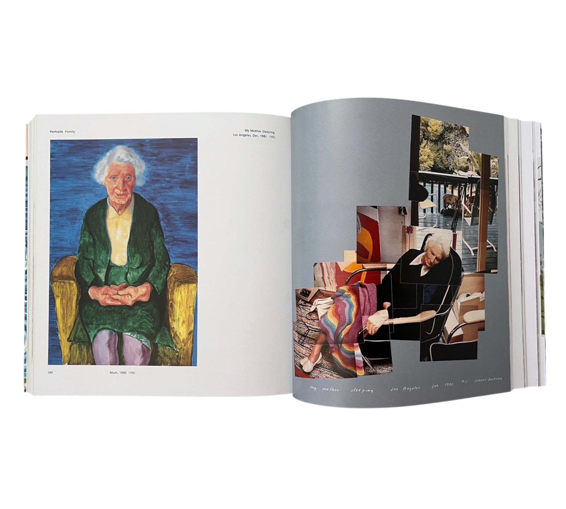 Hockney's Pictures