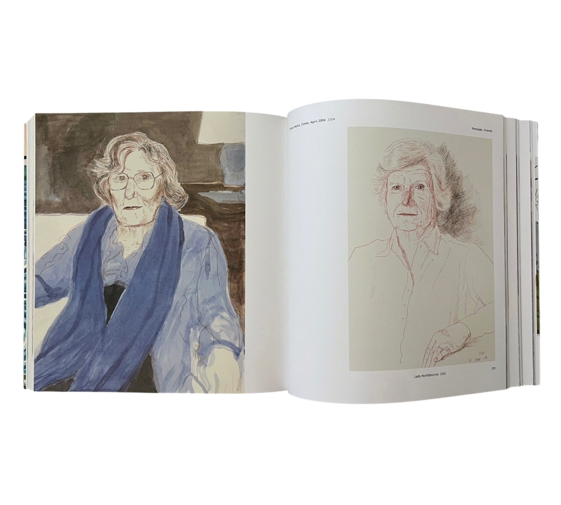 Hockney's Pictures