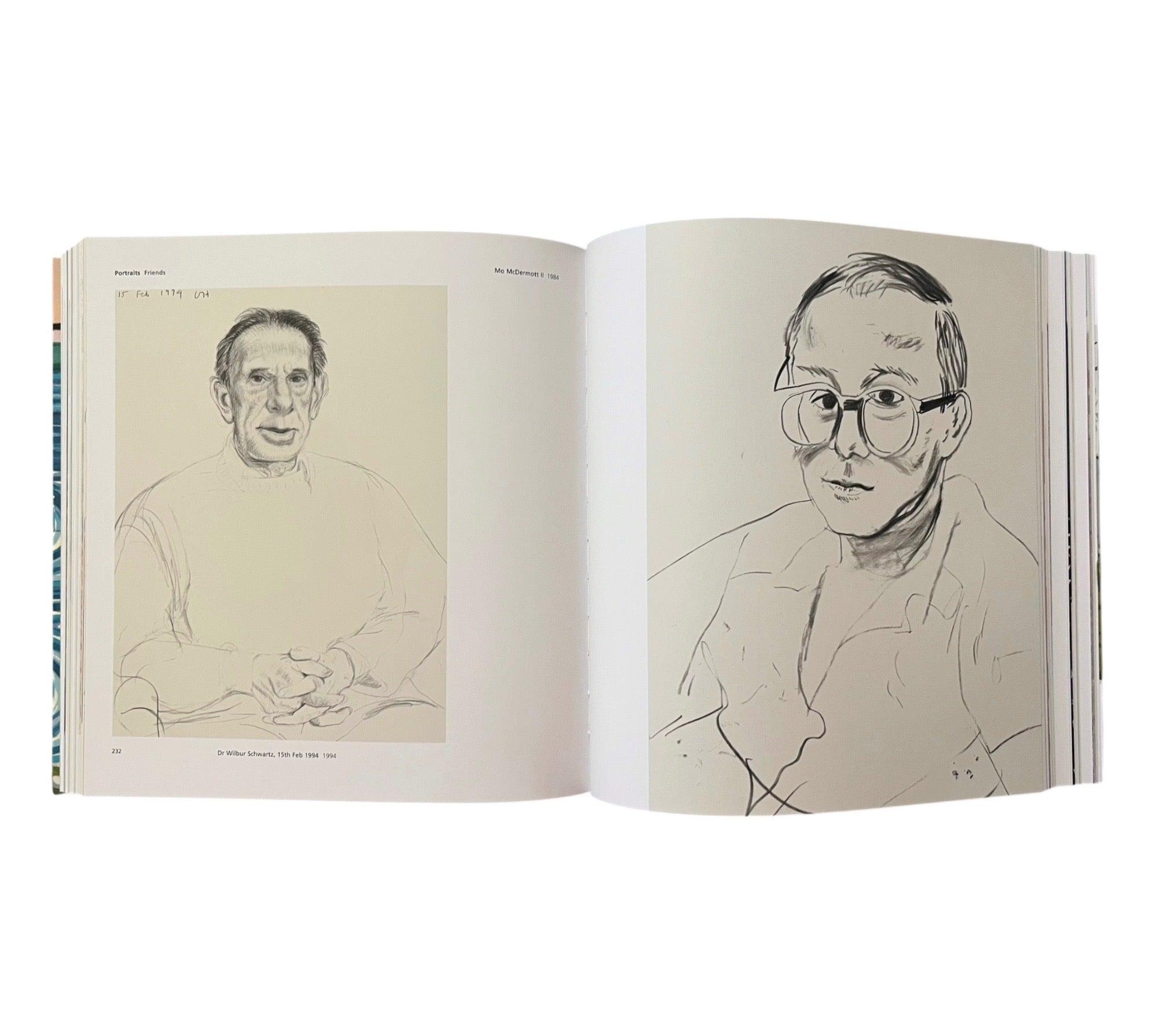 Hockney's Pictures