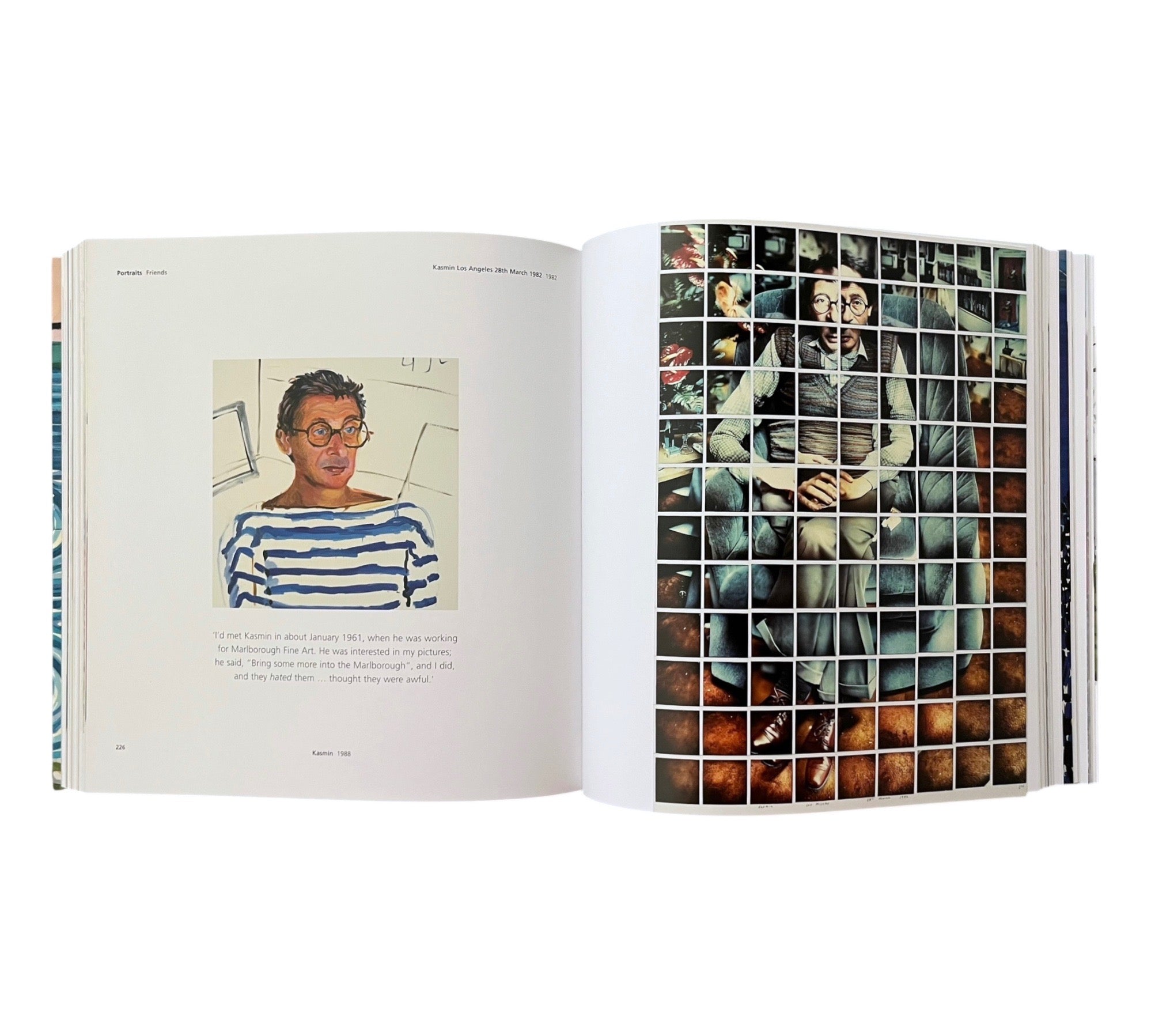 Hockney's Pictures
