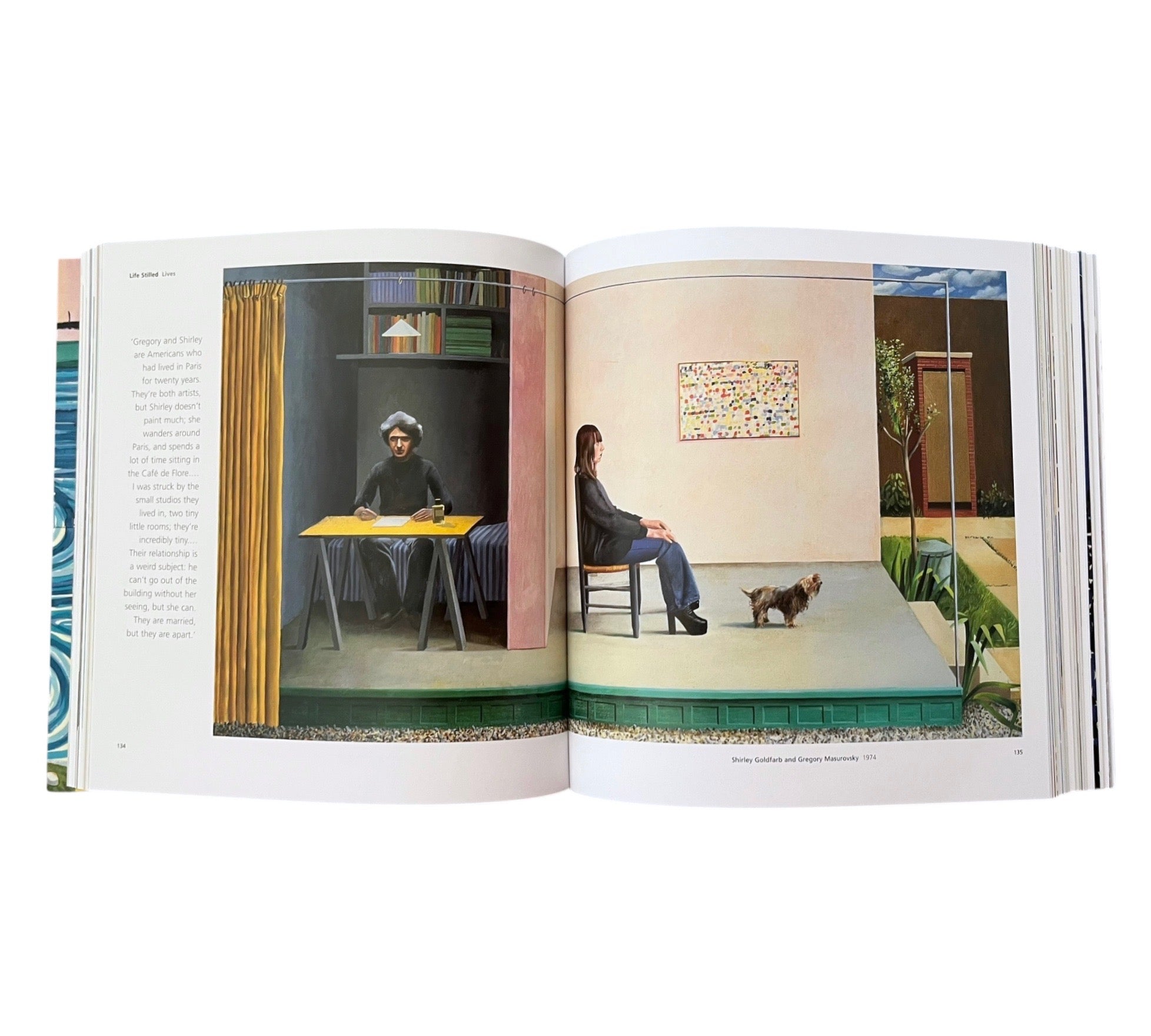 Hockney's Pictures