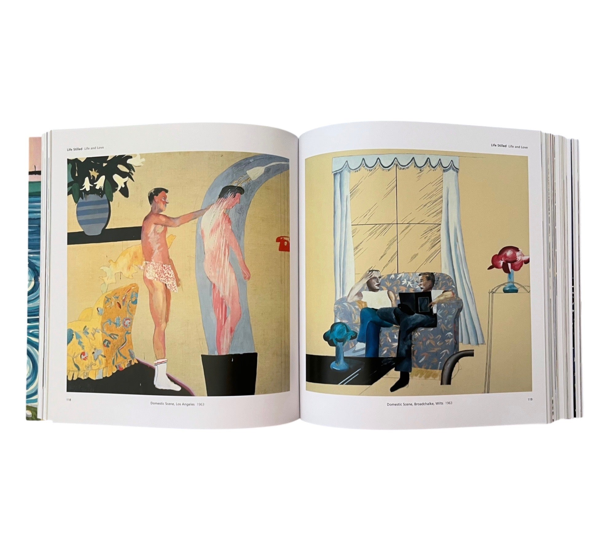 Hockney's Pictures