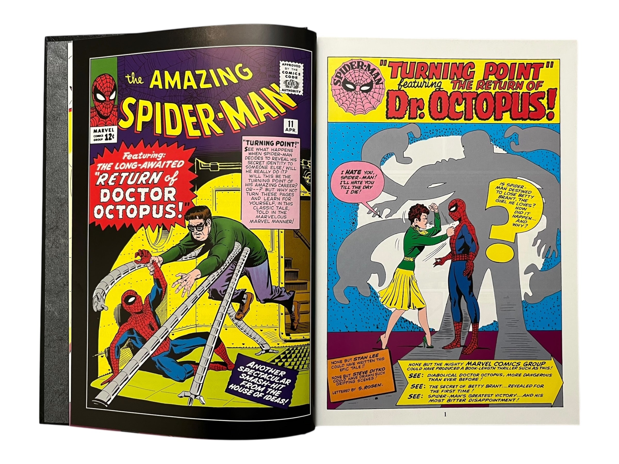 Marvel Masterworks: The Amazing Spider-Man - Volume 2