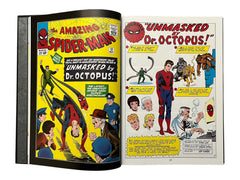Marvel Masterworks: The Amazing Spider-Man - Volume 2