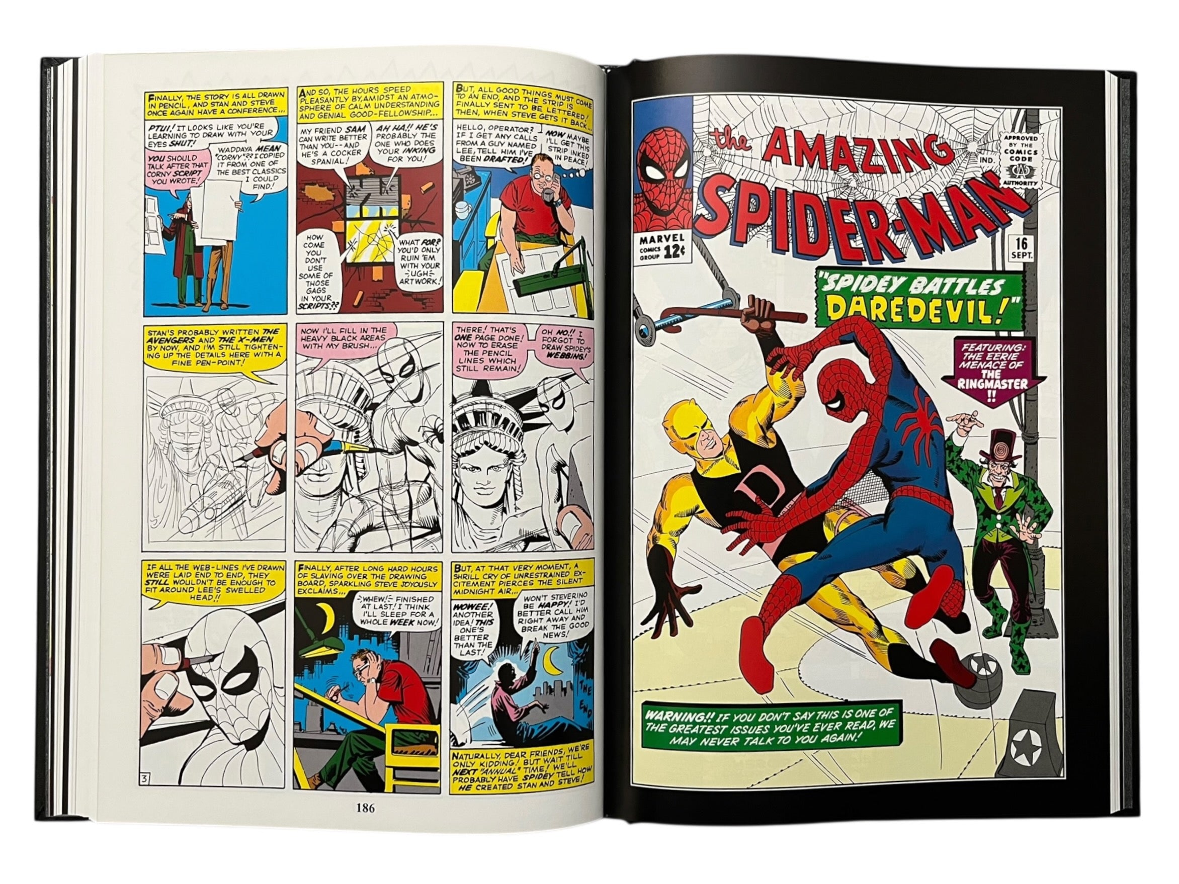 Marvel Masterworks: The Amazing Spider-Man - Volume 2