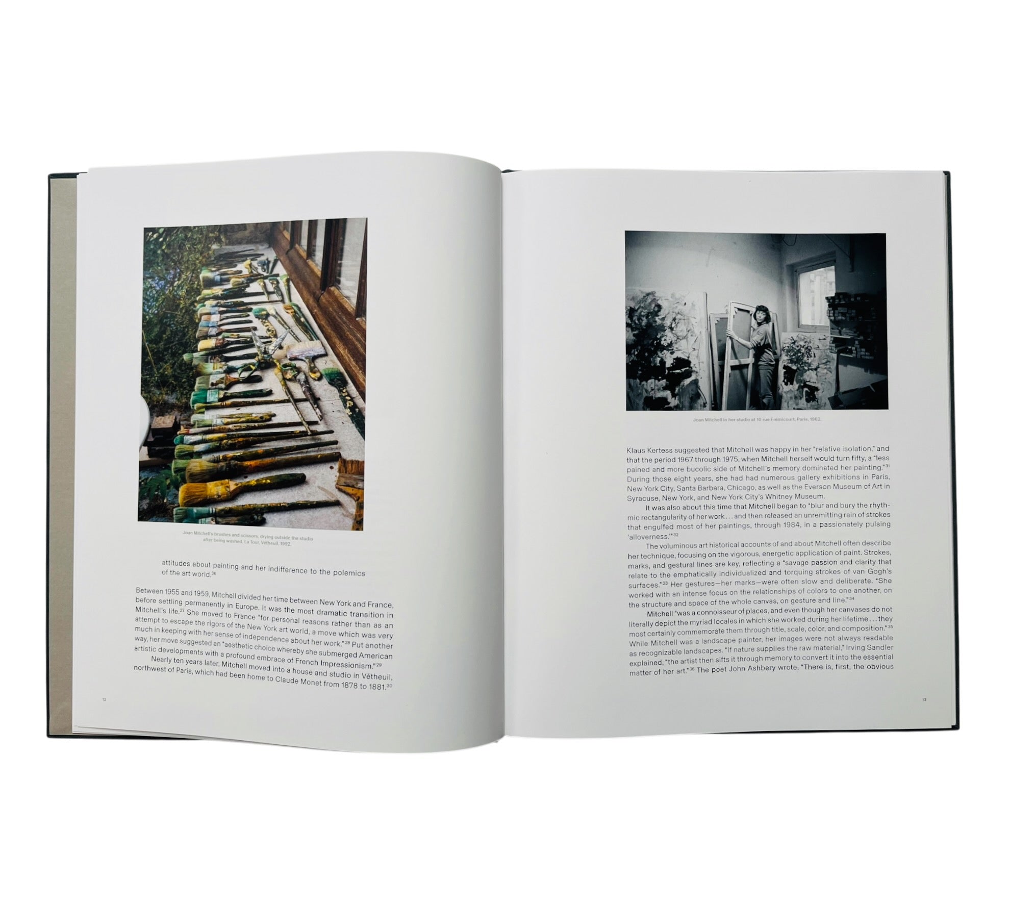 Joan Mitchell | Christine Ay Tjoe (Rare edition)
